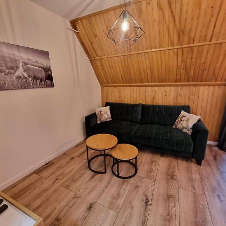 Apartament Klasyczny Z Widokiem Na Giewont Koscielisko Exterior photo