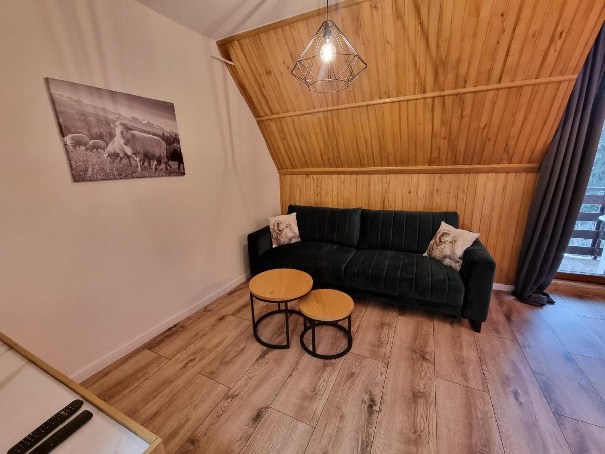 Apartament Klasyczny Z Widokiem Na Giewont Koscielisko Exterior photo